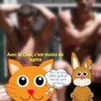 Reims Massages sensuels pour H